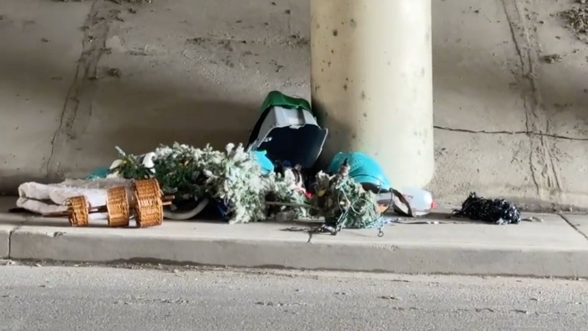 Fermata d'emergenza in autostrada: la forma nascosta tra i rifiuti li fa scoppiare in lacrime