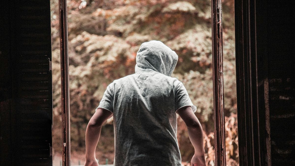 Cucciolo ruba il telefono alla proprietaria: milioni di persone scoprono il colpevole