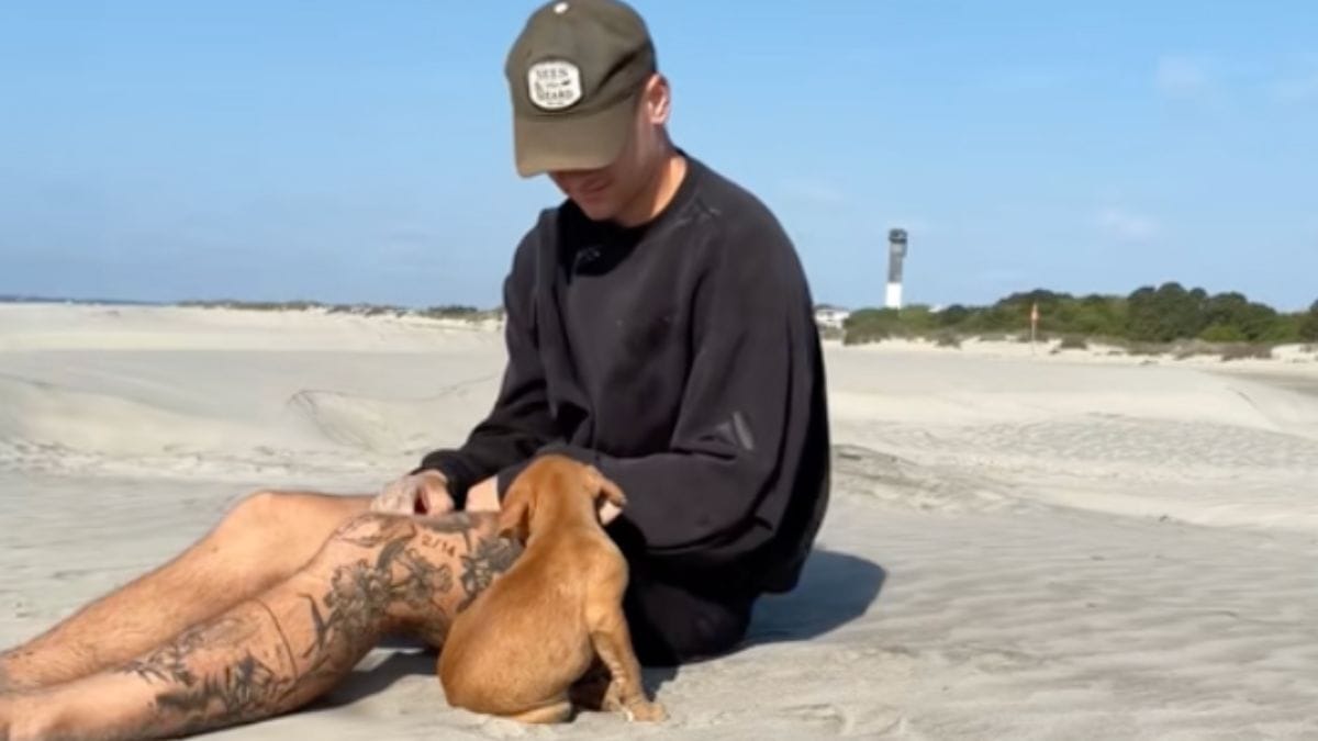 Una cagnolina scopre la spiaggia: la sua reazione è adorabile
