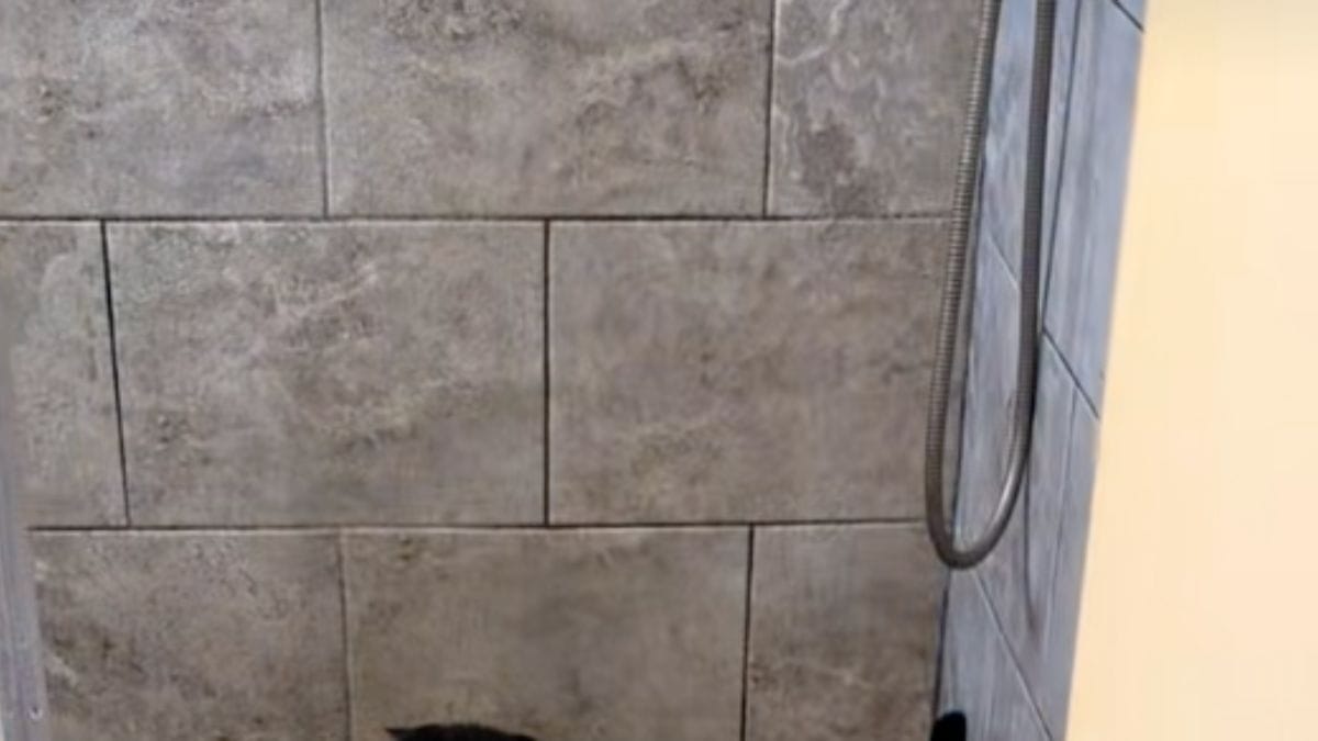 Sente scorrere l'acqua della doccia e teme il peggio: aprendo la porta, la realtà è molto più tenera