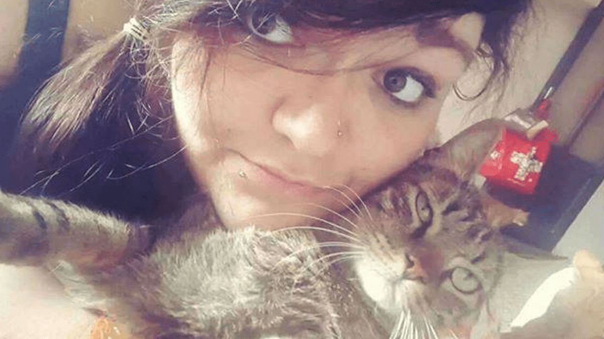 Piacenza. Una casa piena di gatti e d’amore: i genitori di Valeria salvano gatti in sua memoria