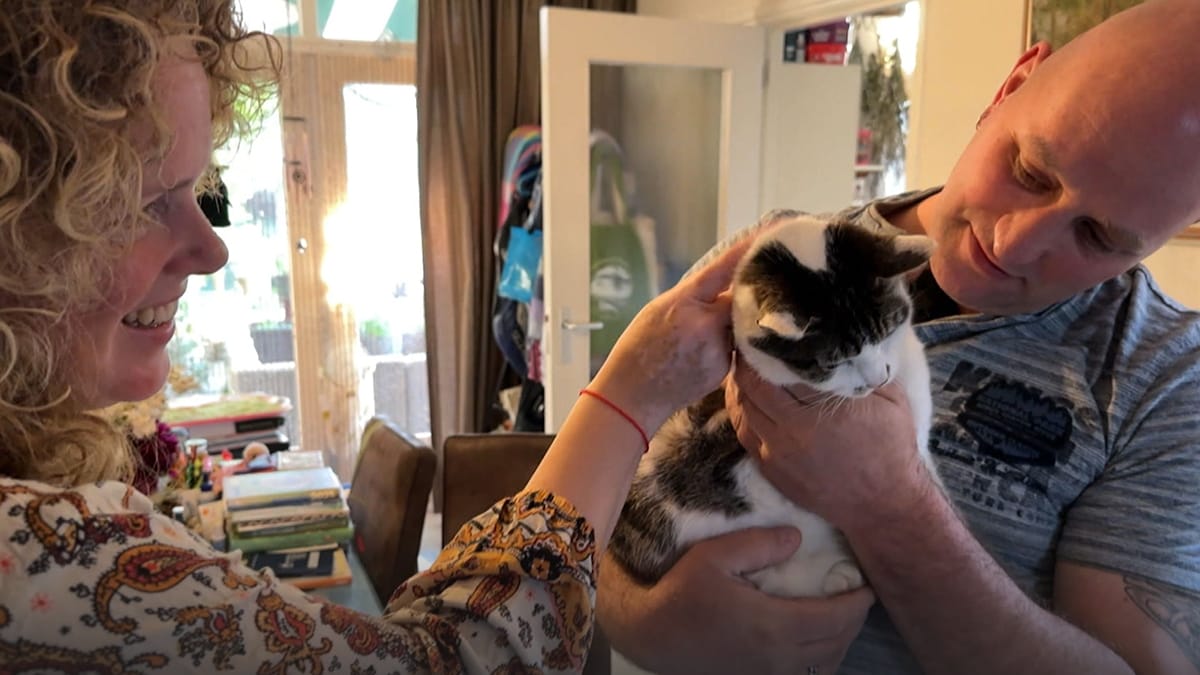 Gatto scomparso riappare improvvisamente dopo 4,5 anni... a più di 100 km da casa!