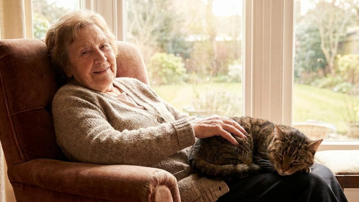 «Avevo rinunciato ad adottare un gatto»: il rifugio svela una soluzione poco conosciuta per gli anziani
