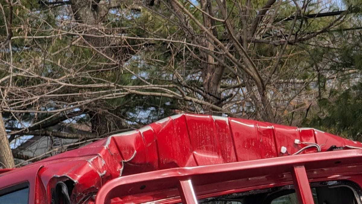 Video. Stanno per demolire un'auto: ciò che sporge dal bagagliaio li fa urlare
