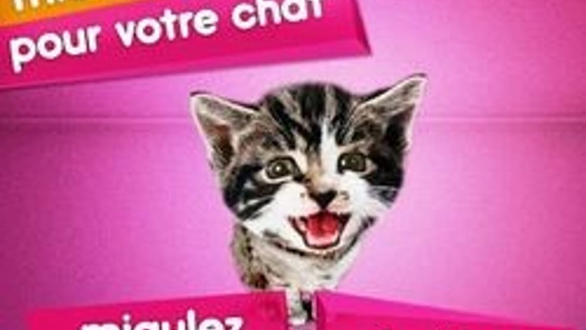 Whiskas Miaulez Pour Votre Chat Sur Facebook