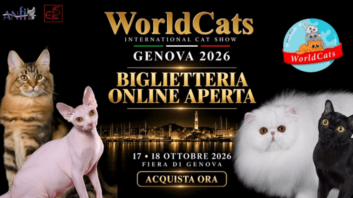WorldCats arriva a Genova: due giorni dedicati ai gatti più affascinanti del mondo