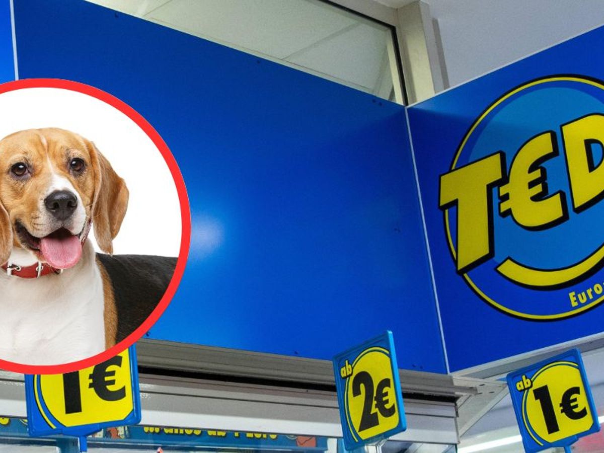 TEDi: Hunde erlaubt?