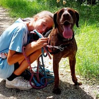 TURBO, chien à adopter