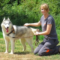THORAK, chien à adopter