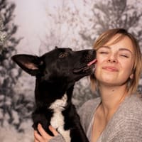 Draka, suczka do adopcji