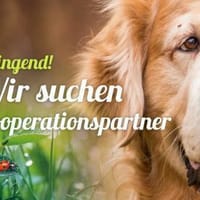 TH Franken sucht Kooperationspartner, Hündin zur Adoption