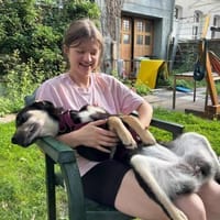 Maira - bezaubernde junge Hündin, Hündin zur Adoption