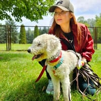 Coco, pies do adopcji