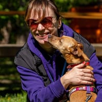 Ginny, suczka do adopcji