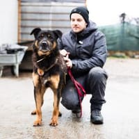 Samba - ein wahrer Traumhund, Hund zur Adoption