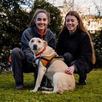 ZEUS, chien à adopter