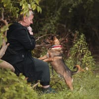 Czesław, pies do adopcji
