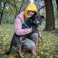 Marcyś, pies do adopcji