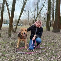 Leon, pies do adopcji