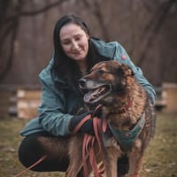 Czyli, pies do adopcji