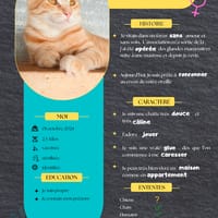 Lili, la belle rousse, chatte à adopter