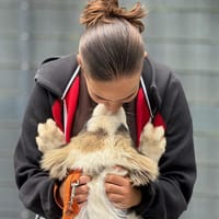 Loui ein Traum von Hund..., Hund zur Adoption