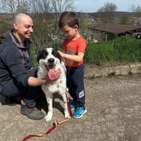🆘Sehr gelehriger sozialer JACKSON🆘🆘🆘, Hund zur Adoption