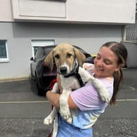 Kari - Welpe Hündin Mischling Lieb, Hündin zur Adoption