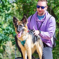 Hope, suczka do adopcji