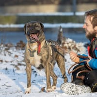 Talia, suczka do adopcji