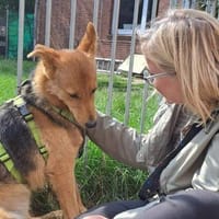 YUKI  Pfiffiges Hasenherz sucht..., Hündin zur Adoption