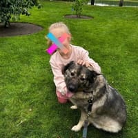 liebgewonnene Erbsenprinzessin Kara, Hündin zur Adoption