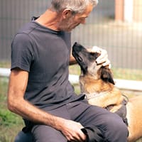 MARCEL, chien à adopter