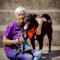 Kuma, pies do adopcji