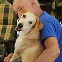 Sharon auf Pflegestelle in Hessen, Hündin zur Adoption