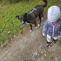 Leonie - schüchterne Hundeseele, Hündin zur Adoption