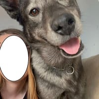 OSKAR - Er war halb erfroren in Jakutsk, Hund zur Adoption