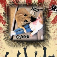 Railey, chienne à adopter