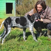 Wish, chien à adopter