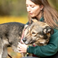 Hilda, suczka do adopcji