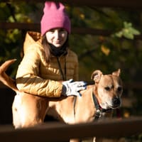 Maya, suczka do adopcji