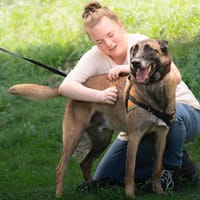 NARKOS, chien à adopter