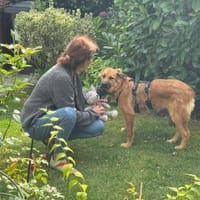 Sissy, verschmust und wundervoll, Hündin zur Adoption