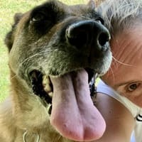 ‼ Soziale RUBY - Herz in NOT 🆘🆘🆘🆘🆘, Hündin zur Adoption