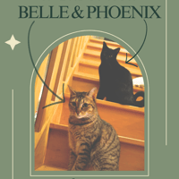 Belle + Phoenix, chat à adopter