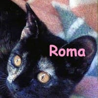 Roma, {género}