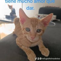 Sugar baby, {género}