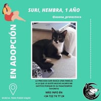 Suri, {género}