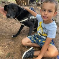 Sensibel und ruhig  = BLACKY 🆘🆘🆘, Hund zur Adoption