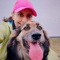 Kofi, pies do adopcji